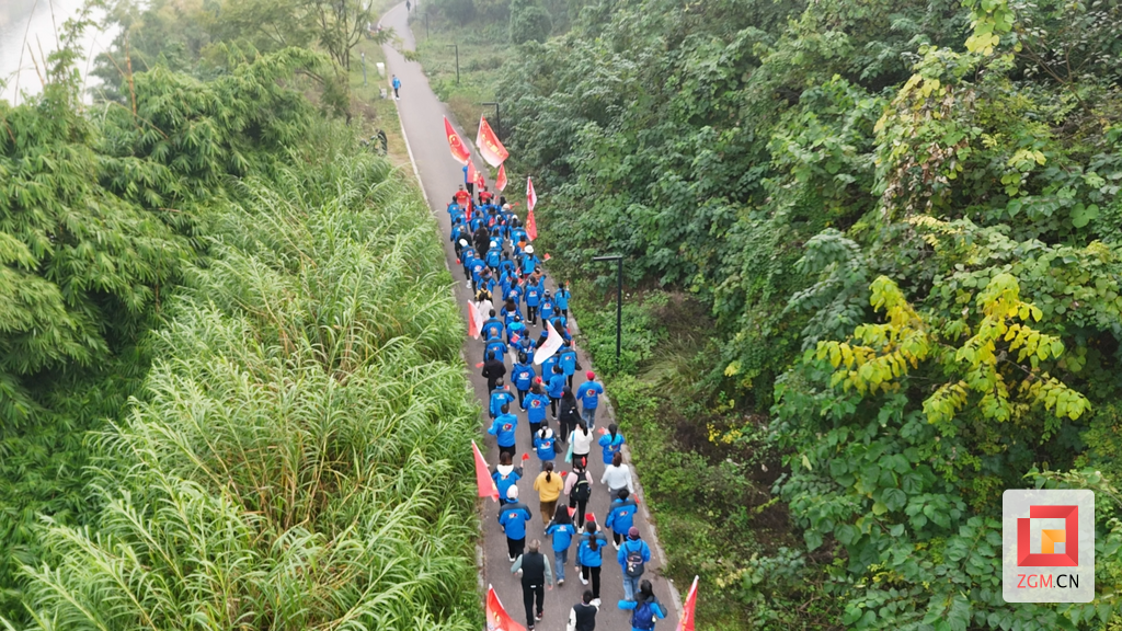 屏幕截图 2025-11-29 120109.png