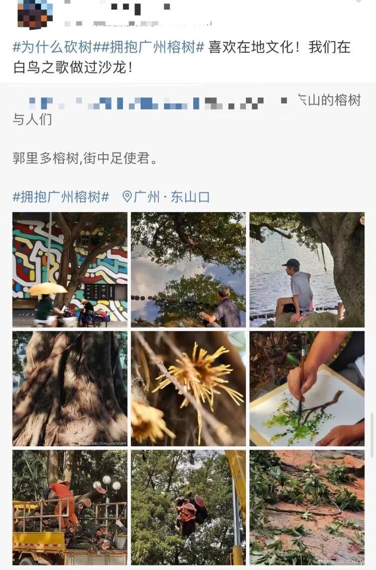 广东省委十二届十五次全会回应广州砍树事件：教训极其深刻、代价刻骨铭心