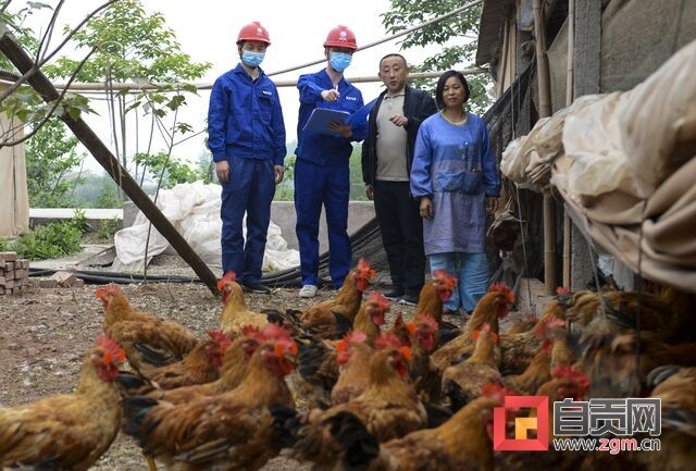 DSC_1867-1 - 副本.jpg