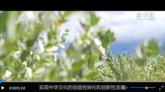 点击图片观看视频