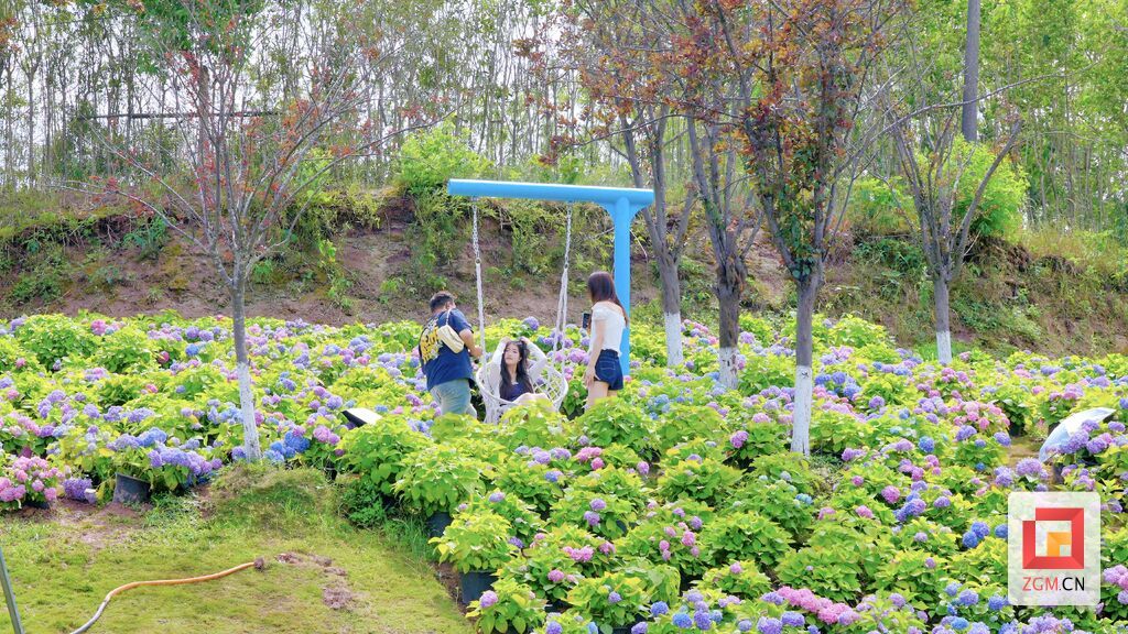 游客 (1).JPG