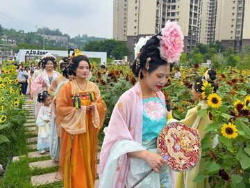 “春看油菜、秋赏葵花”富世街道以花为媒绘农文旅融合新画卷