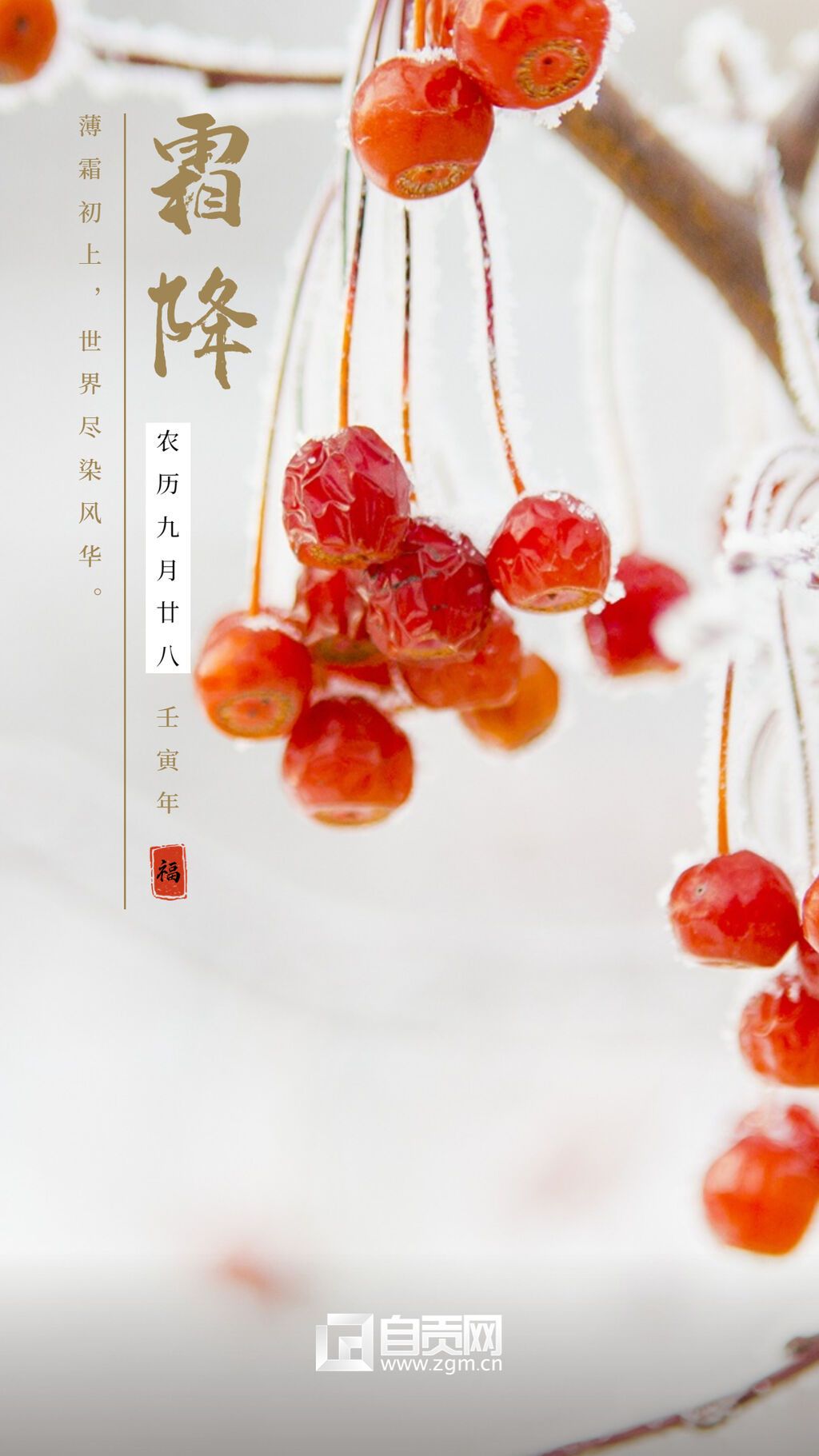 霜降海報 (3).jpg
