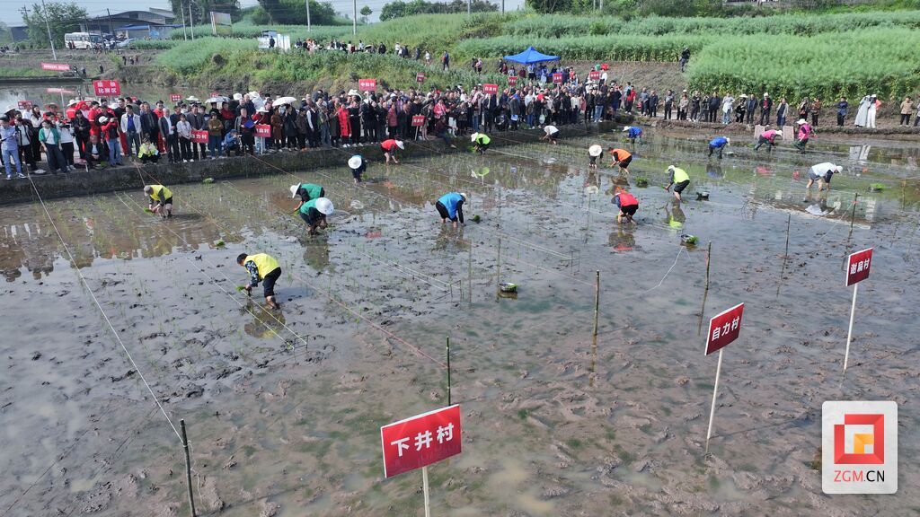 微信图片_20250408131913.jpg