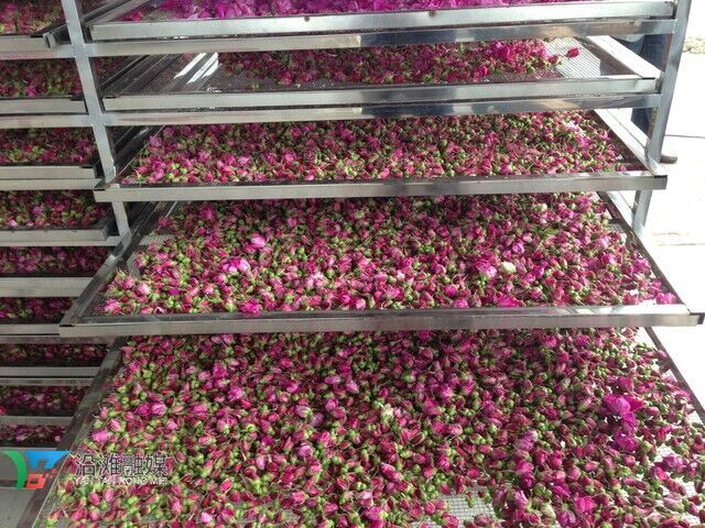 烘干的玫瑰花蕾.jpg