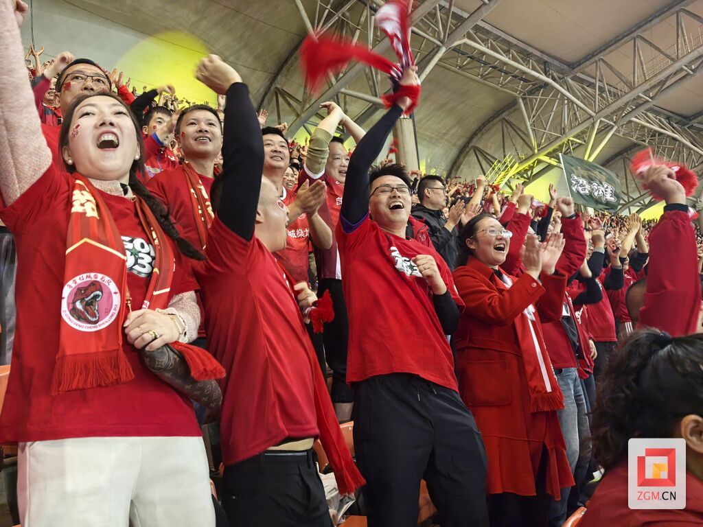 球迷19.jpg