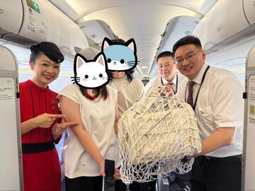 带上宠物飞，川航推出“宠物进客舱”服务，覆盖成都、重庆等城市