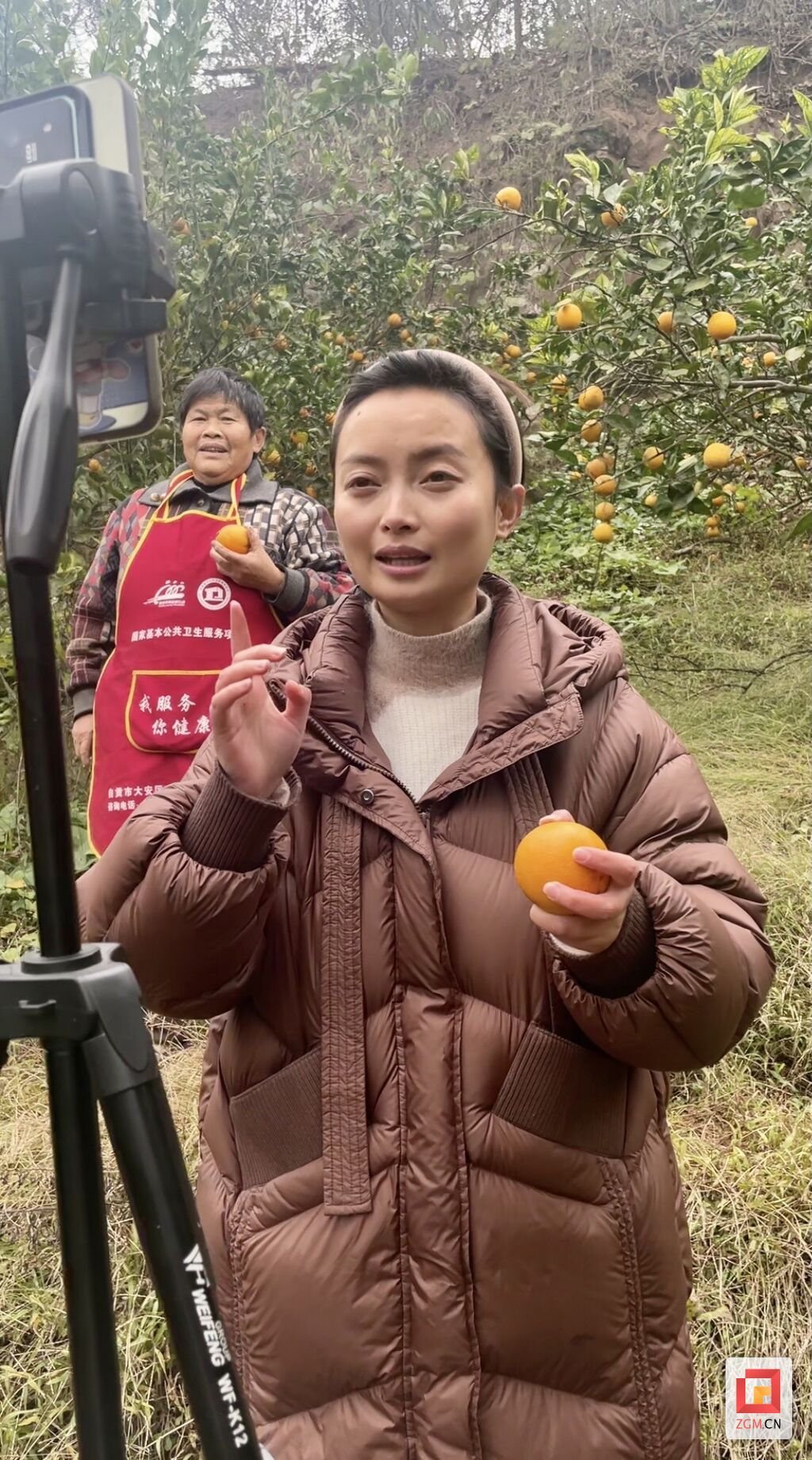 微信图片_20250225003639.jpg