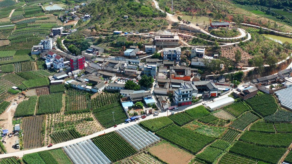新庄村如今的农村居住环境。温昌盛 摄