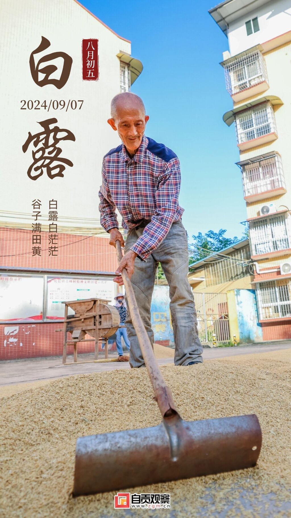 白露金融保險節(jié)氣祝福問候實景風手機海報.jpg