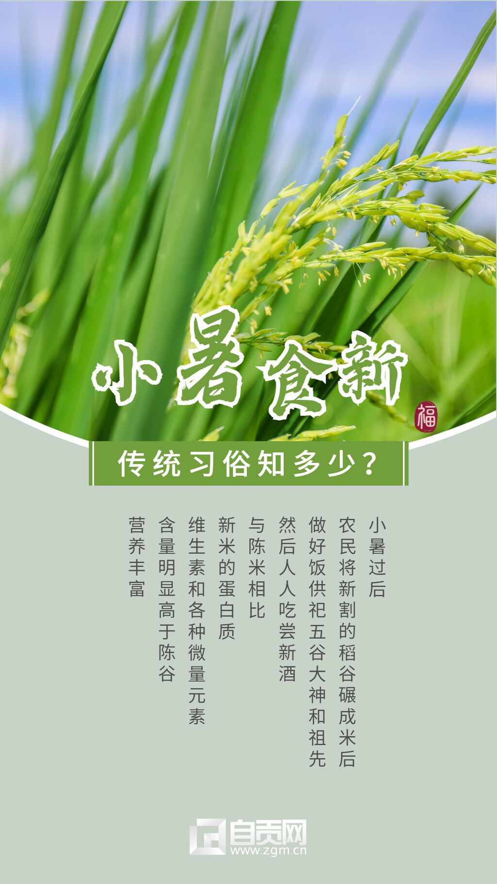 小暑海報(bào)3.jpg