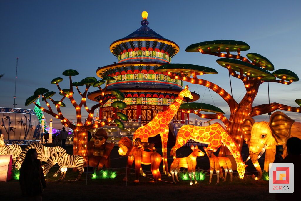 往届休斯敦冬季梦幻彩灯节场景3.jpg