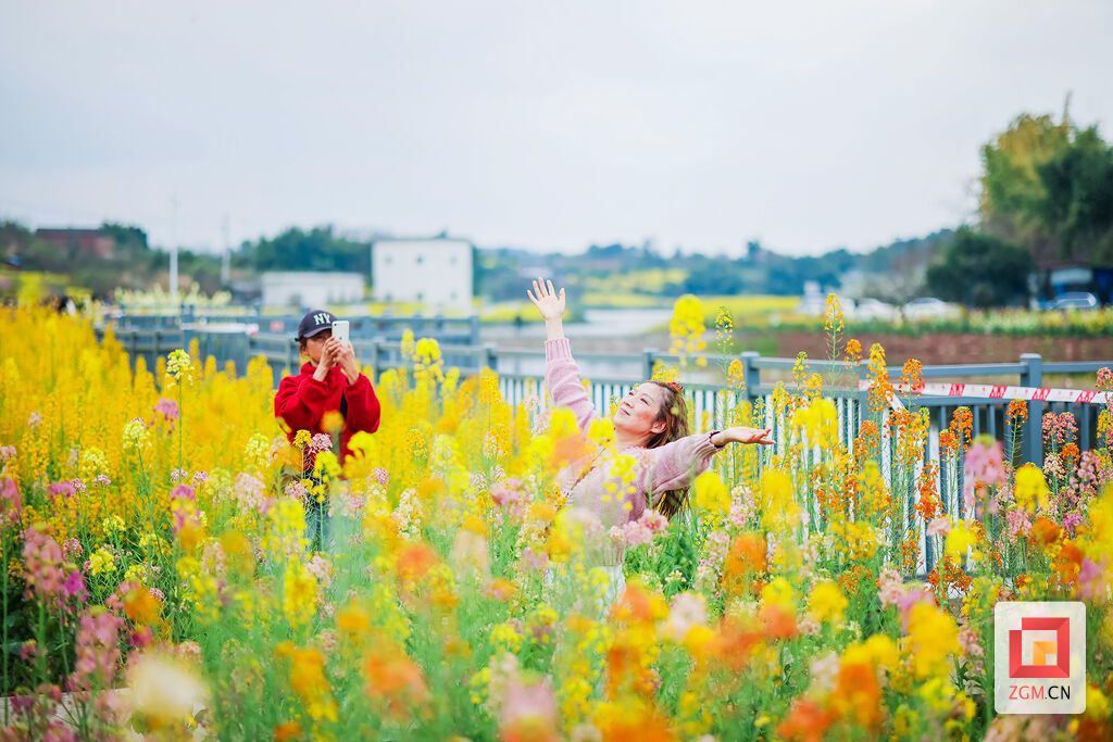 游人畅游花海 记者 宋姿熠 摄.jpg