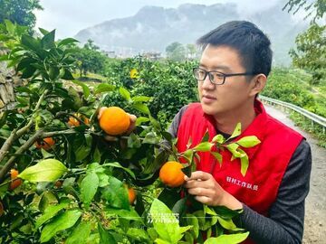 在乌蒙山上  这位95后驻村队员找到了嘴甜的“答案”