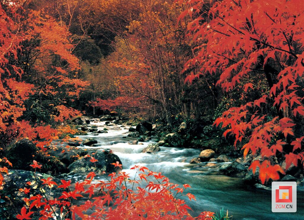 荊竹山秋色.JPG