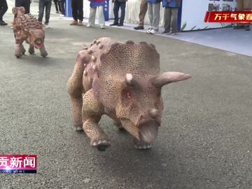 自贡新闻｜自贡市第五届“盐都能工巧匠”职业技能大赛决赛成功举办