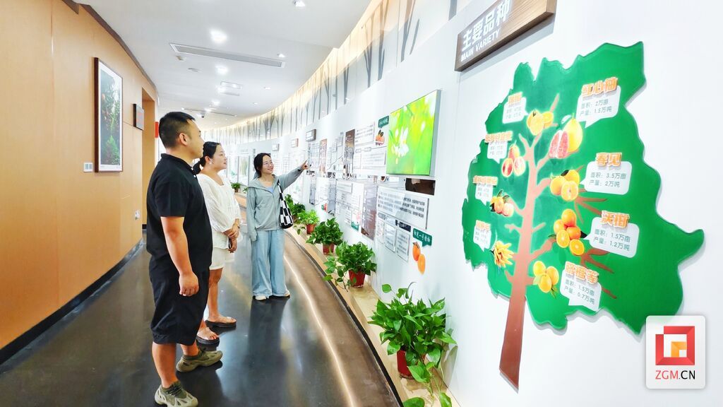6、花園村新落成的“橘創(chuàng)空間”展覽館，吸引了眾多游客前來(lái)參觀打卡。（自貢融媒記者 芶思攝）.jpg
