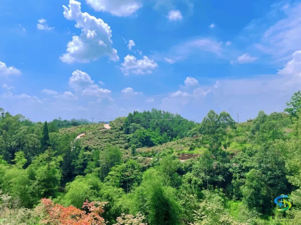 图三.jpg