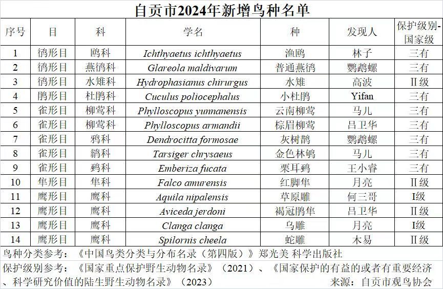 新增鳥類名單.jpg