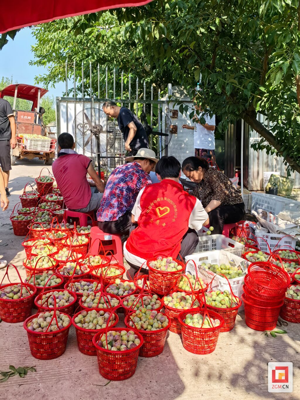 微信图片_20250723114621.jpg