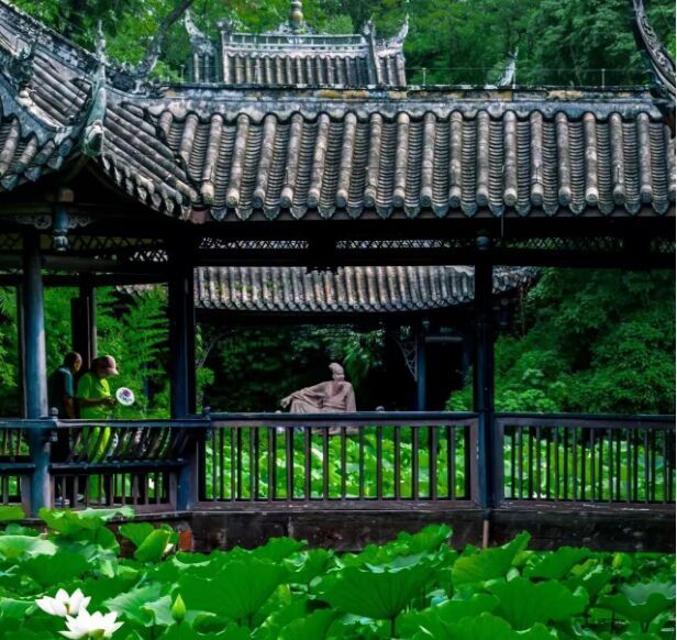 圖片