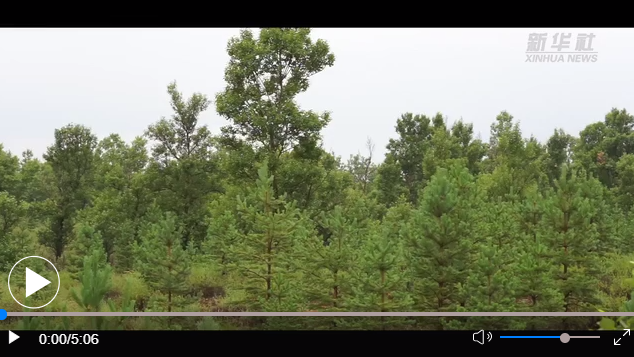 点击图片观看视频