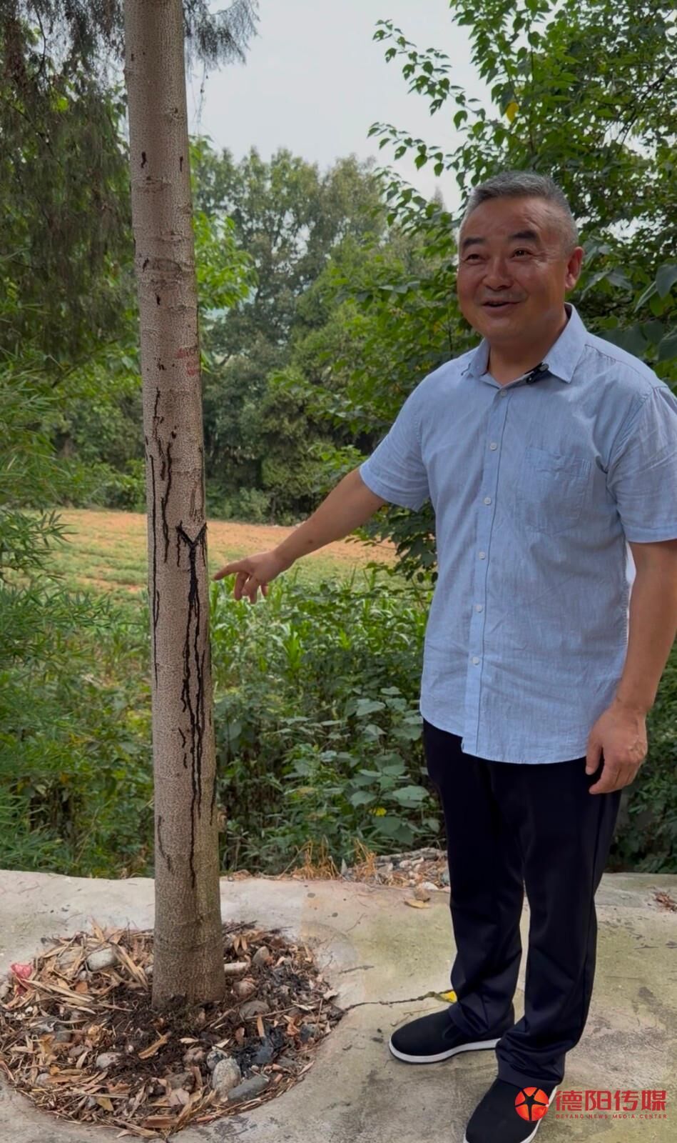 微信图片_20260730104559_1123_170.jpg