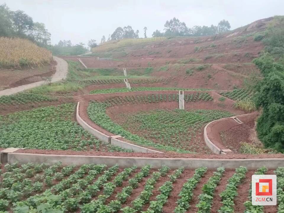 微信图片_20240307113249.jpg