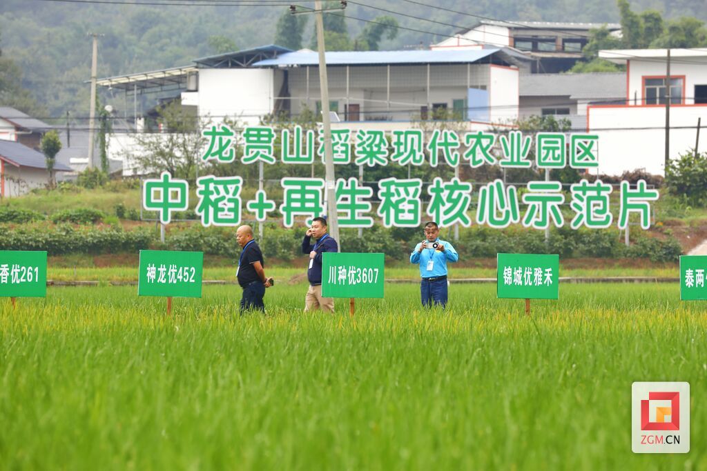 微信圖片_20231011003127.jpg