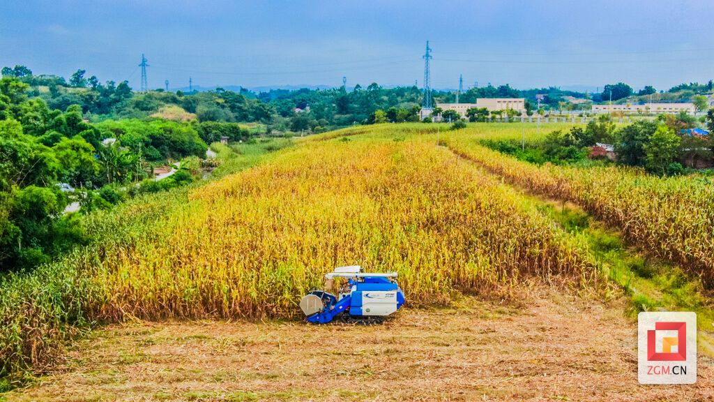 DJI_0347.jpg