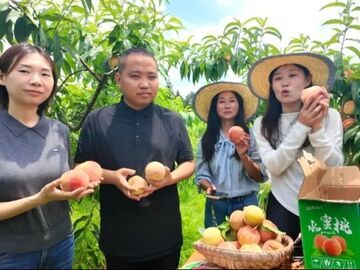 沃野新农人：从“雁南飞”到“凤还巢” 青年人才振兴乡土