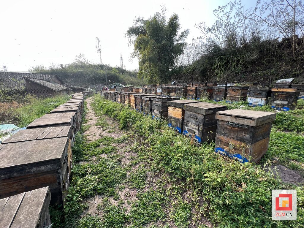 微信图片_20220314211757.jpg