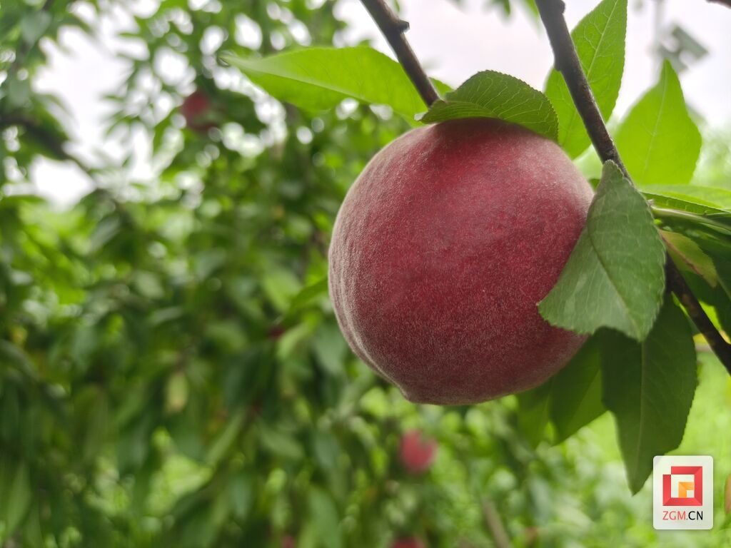 微信图片_20260602200051.jpg