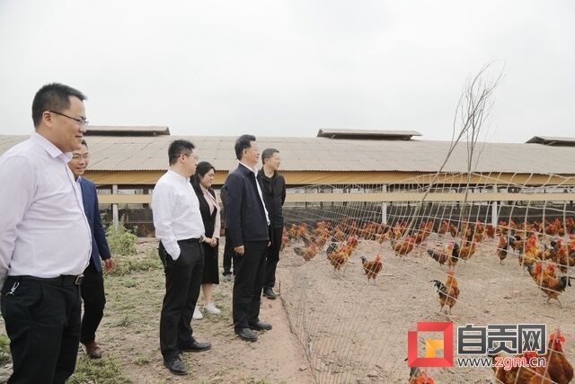 大安區(qū)委書記張昭國帶隊(duì)到何市鎮(zhèn)督查調(diào)研脫貧攻堅工作及場鎮(zhèn)綜合改造項(xiàng)目推進(jìn)情況 (2).JPG