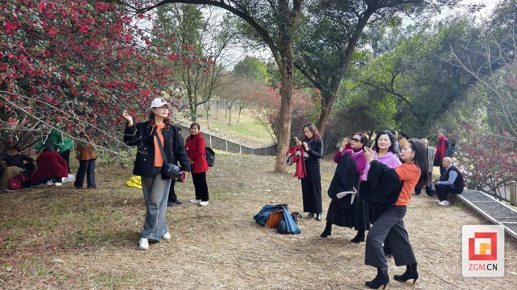 鹽都植物園市民拍攝美景.jpg