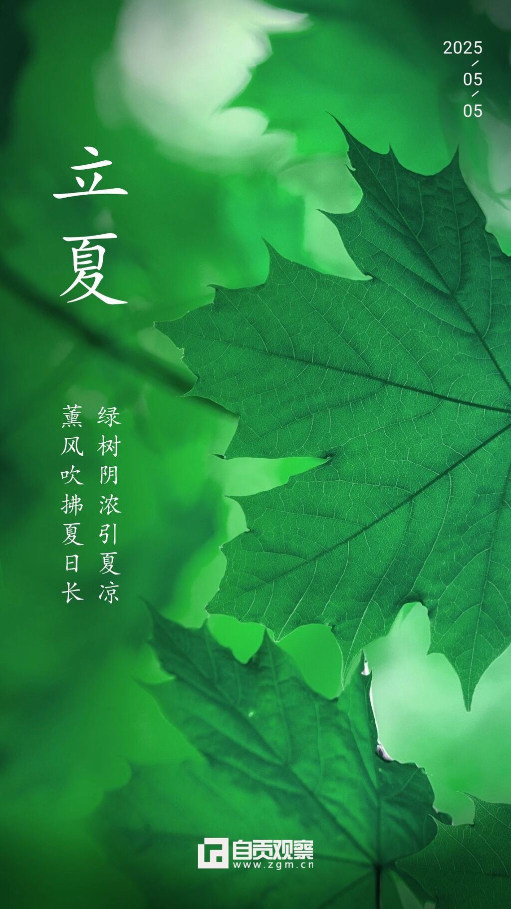 立夏節(jié)氣祝福問候創(chuàng)意手機海報.jpg