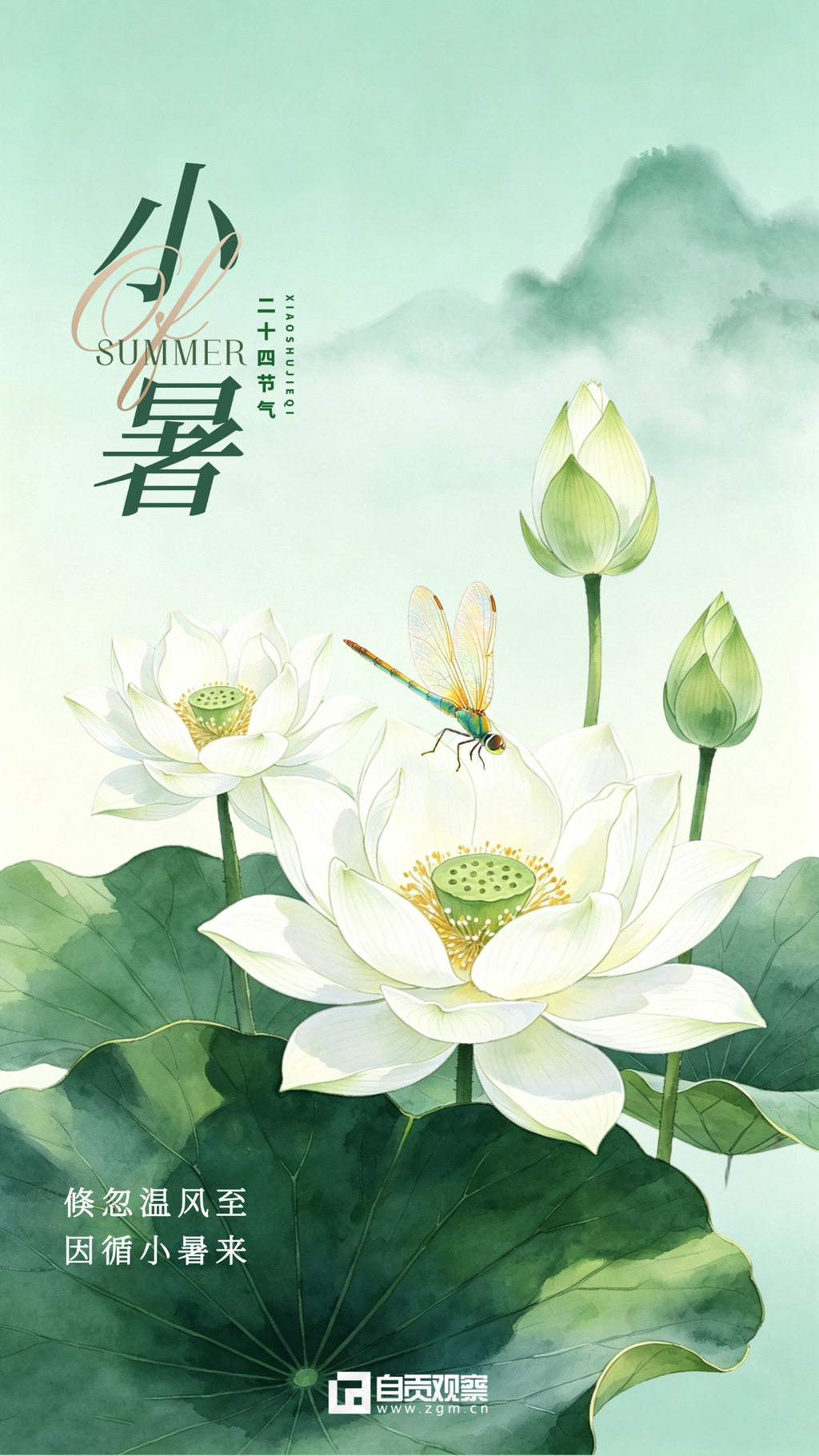 小暑节气祝福肌理感荷叶纹理清新感竖版海报 (1).png