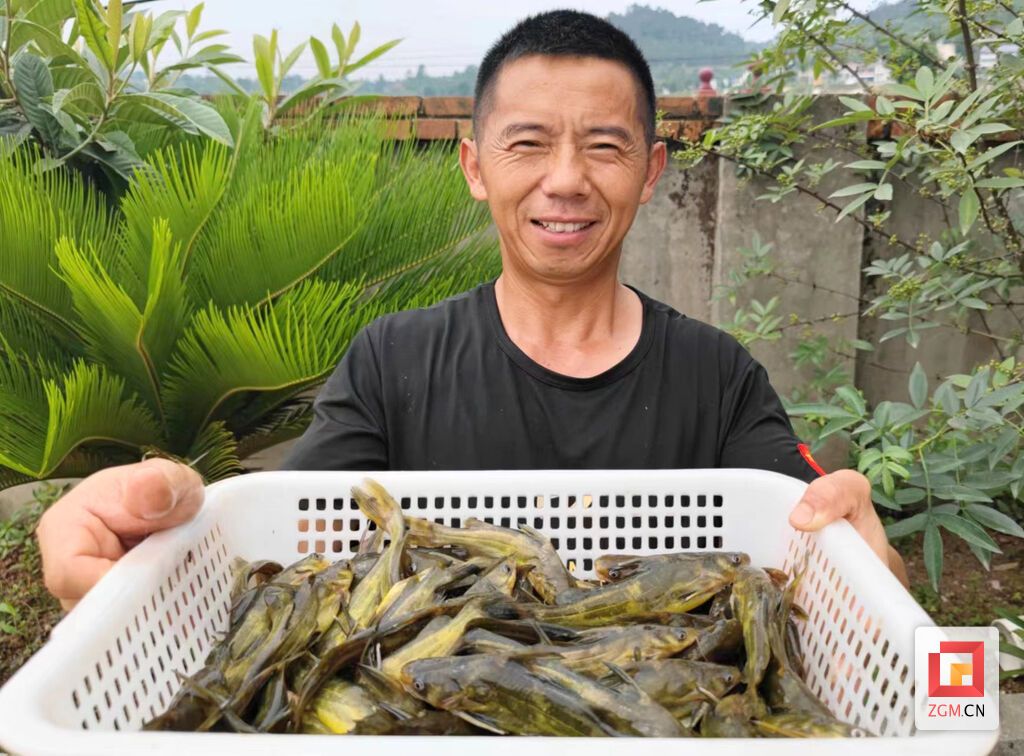 下載圖片 (48).jpg