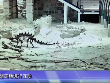 自贡新闻｜从静态陈列走向沉浸对话 自贡恐龙博物馆全新亮相