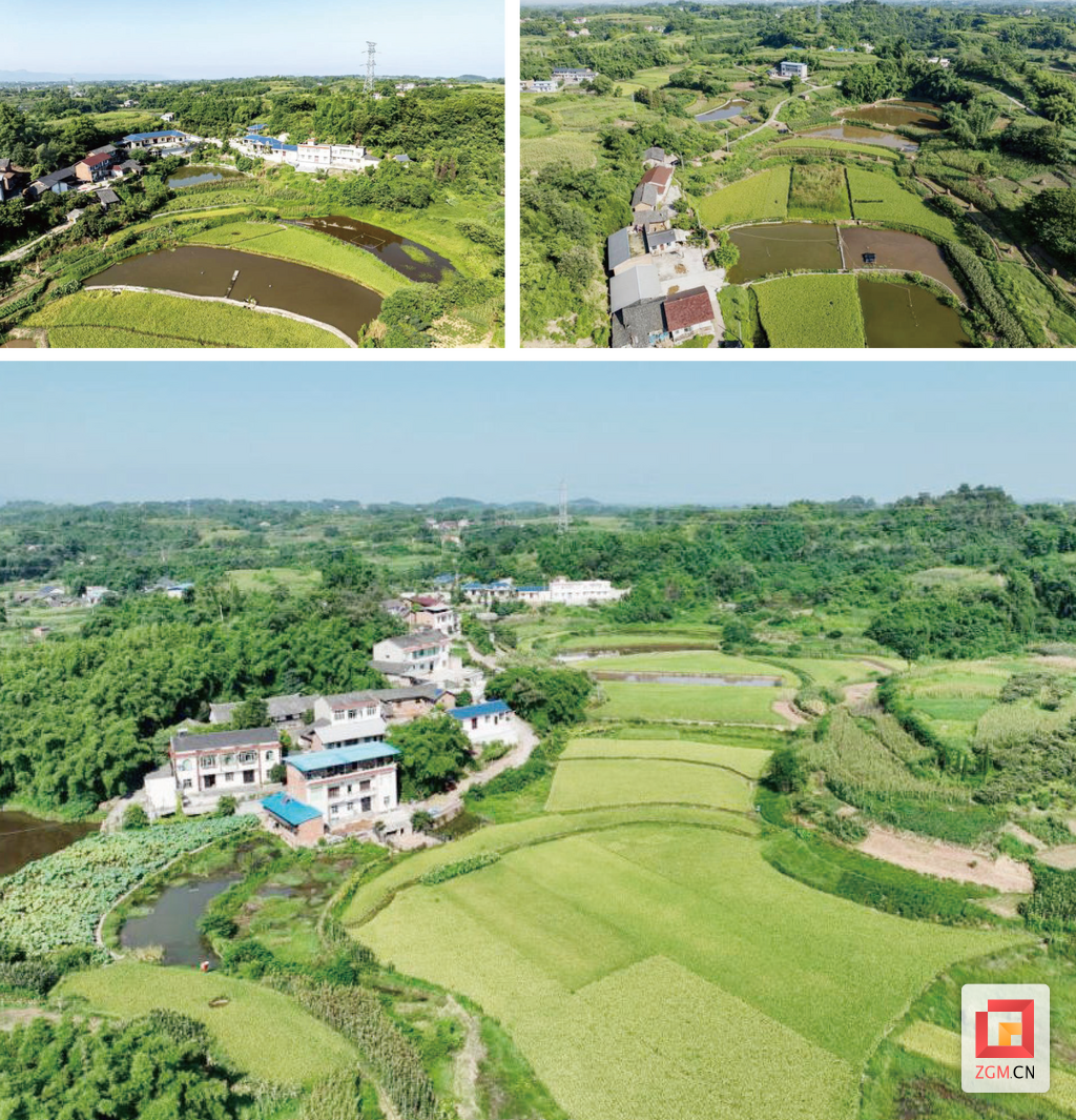 季夏,丰收在望中的富美园、水井冲、咸宜庄(《组谱》节选).png