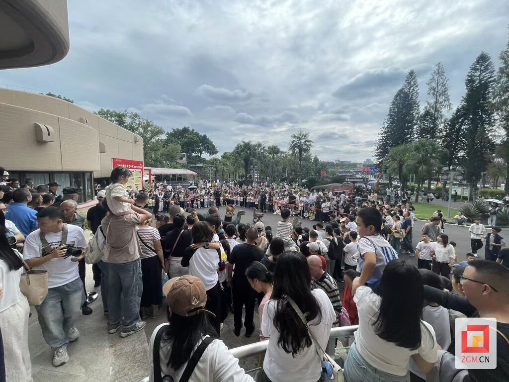 恐龙馆活动.jpg