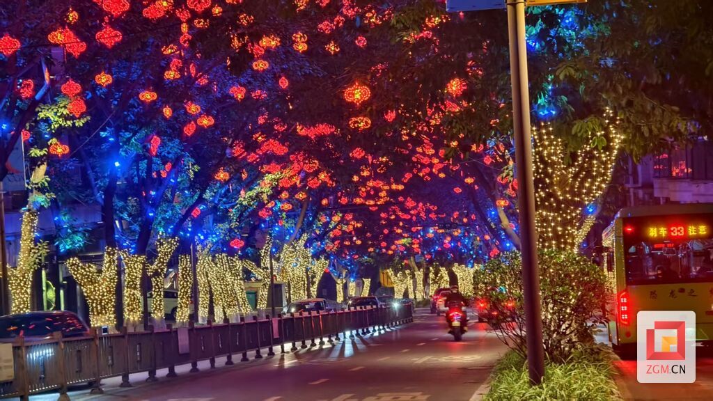 逛大街道路两旁中国结年味十足 记者罗祥瑞摄.jpg