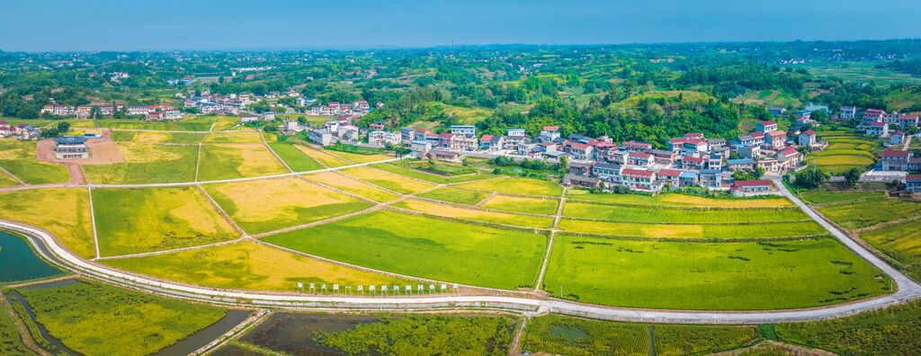 牛佛鎮(zhèn)全域土地整治試點改革后，萬畝良田連片景象。記者 宋姿熠 攝.jpg