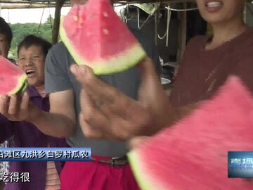 直播盐都｜九洪西瓜抢鲜上市“五一”黄金周甜蜜迎客