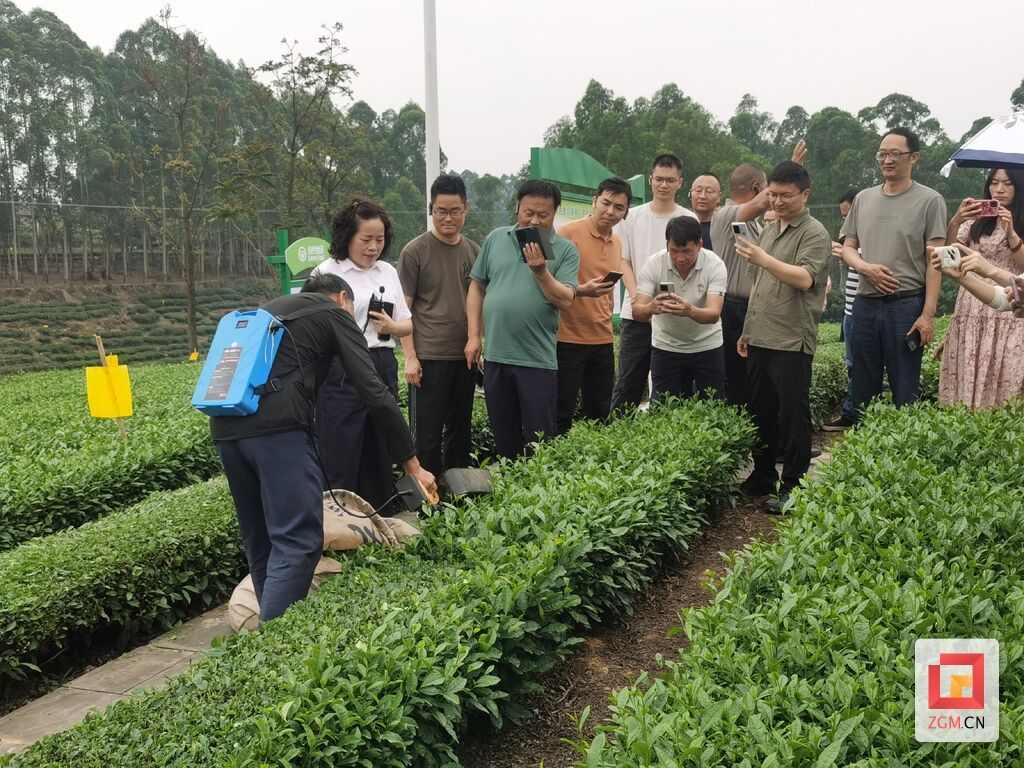 微信圖片_20250515114558.jpg