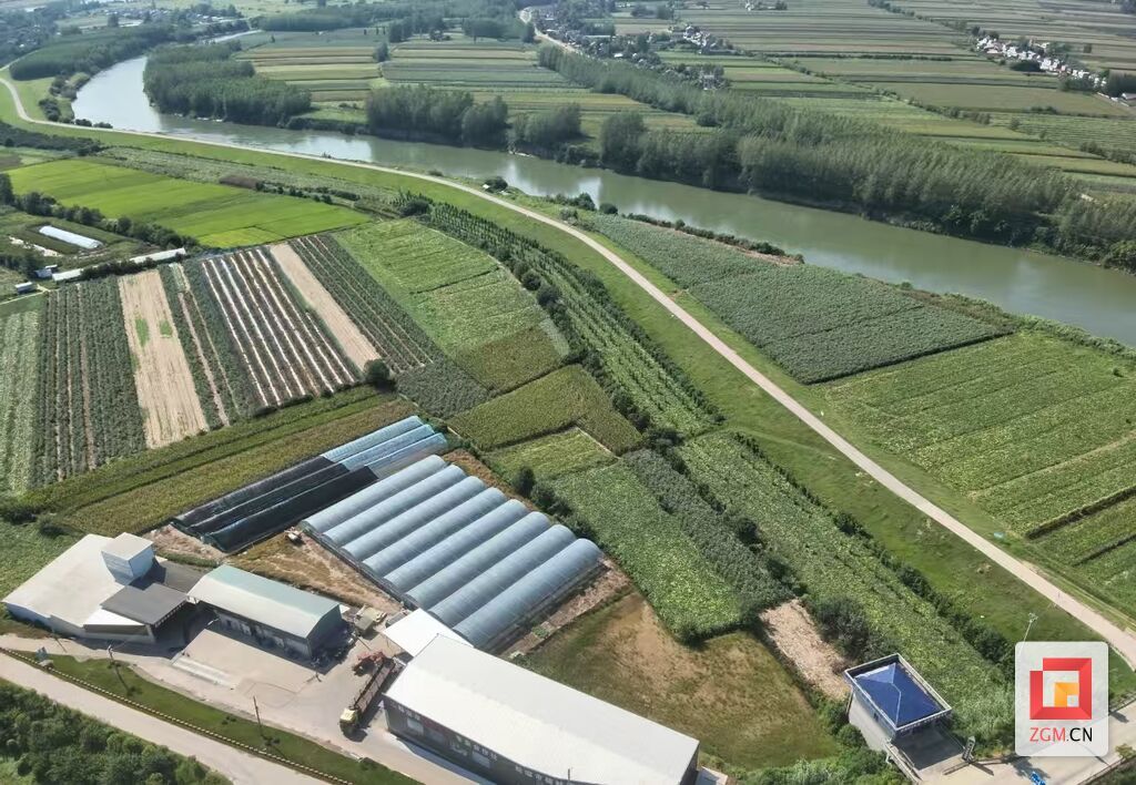 江边现代化农场.jpg