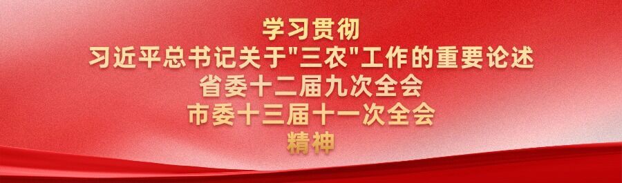 微信图片_20260810163317_127_19.jpg