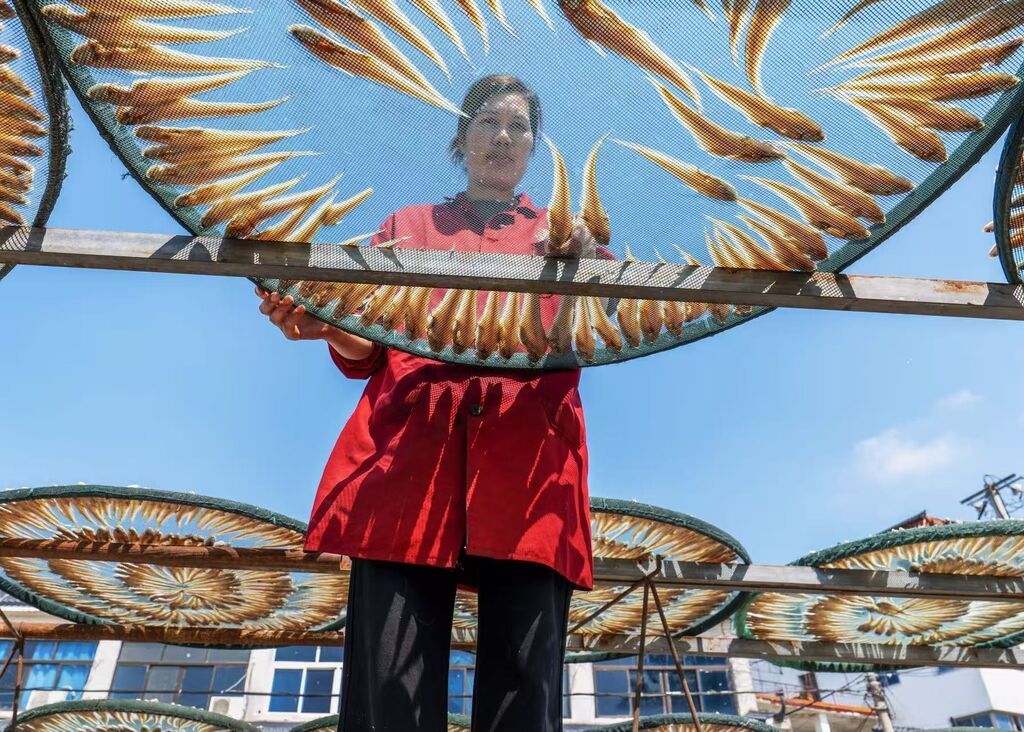 六门闸社区居民晒制风干鱼。通讯员 许理伟 摄 (2).jpg