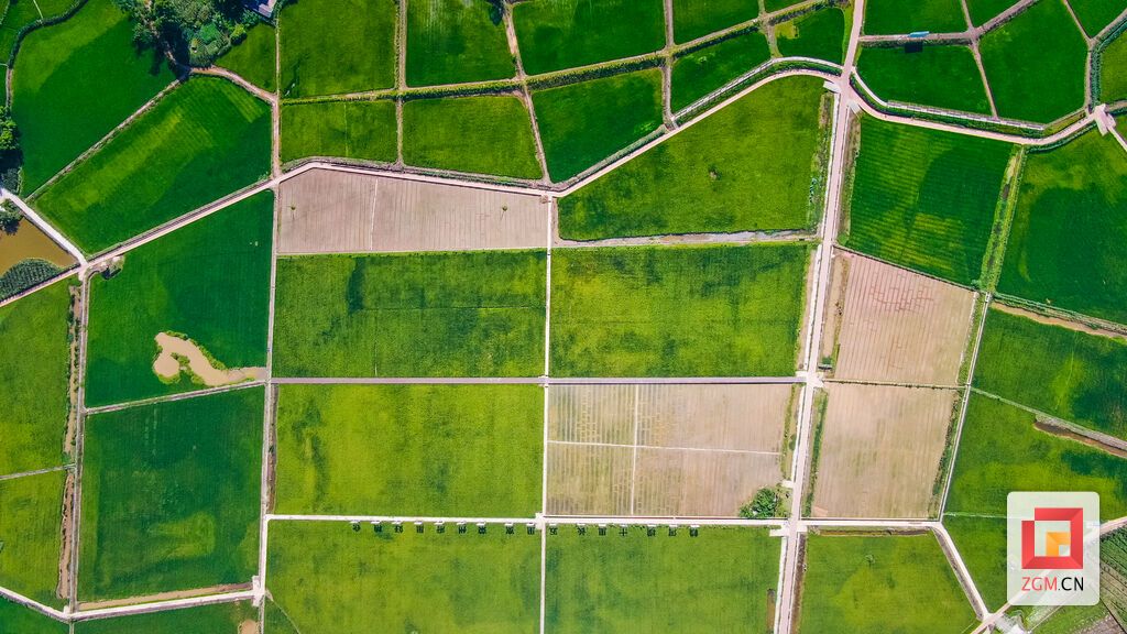 DJI_0822.jpg