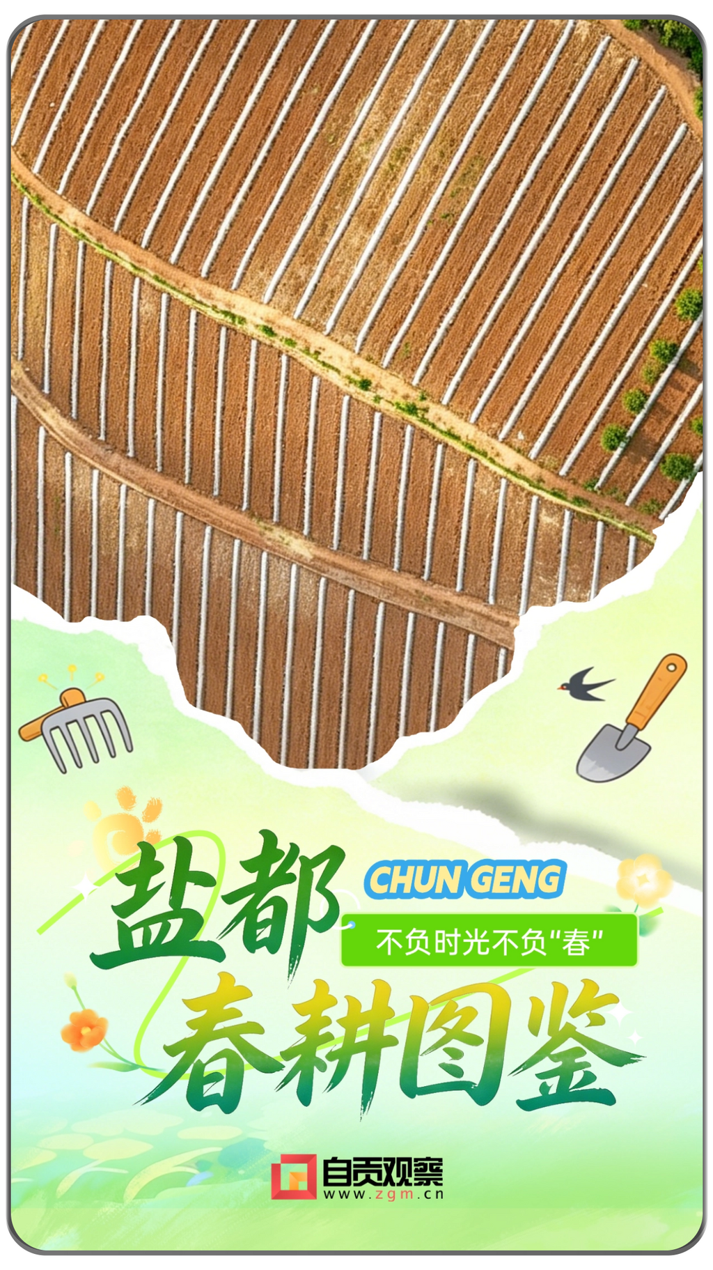 盐都春耕图鉴 (1).png